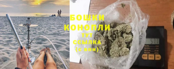 стаф Пестово