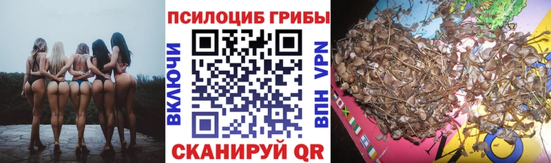 где купить наркоту это какой сайт Псилоцибиновые грибы MAGIC MUSHROOMS Норильск