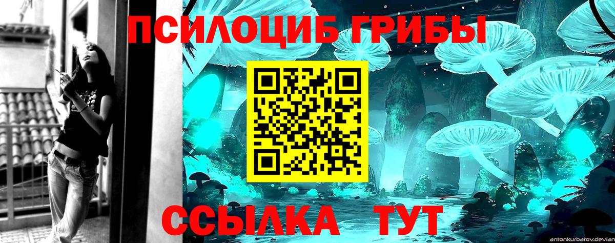 Псилоцибиновые грибы GOLDEN TEACHER Норильск