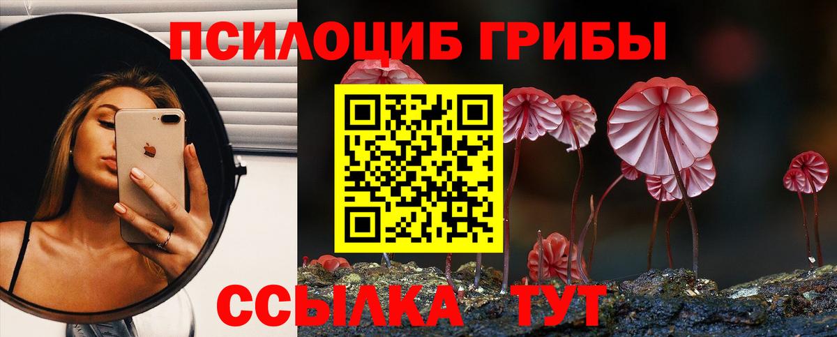 Галлюциногенные грибы Magic Shrooms  Норильск 