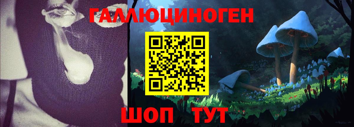 Псилоцибиновые грибы Psilocybine cubensis Норильск
